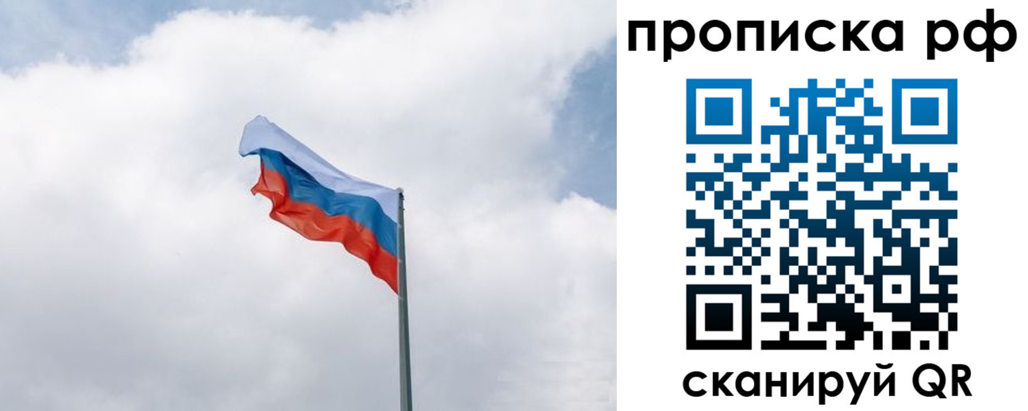 прописка гарантия в Электрогорске